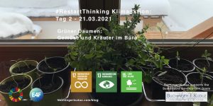 #RestartThinking Klimaaktion von Buchinger|Kuduz - 30 Tage Veränderung - Tag 2