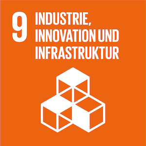 SDG - Industrie Innovation und Infrastruktur