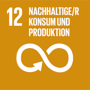 SDG - Nachhaltige Konsum und Produktion