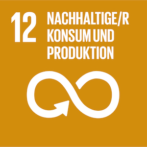 SDG - Nachhaltige Konsum und Produktion