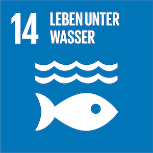 SDG - Leben unter Wasser