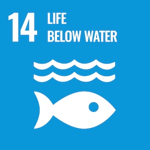 SDG Goal 14: Life below water